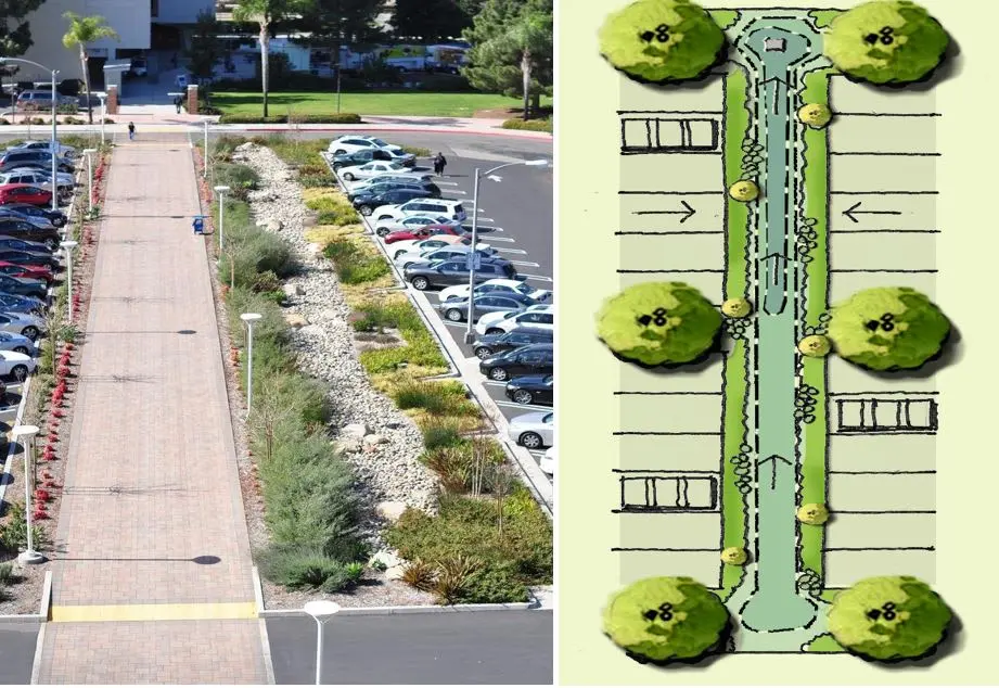 Otopark kenarında yağmur bahçesi saha uygulaması ve plan görünümü yan yana — bordür açıklığından giren yüzeysel akış, alçaltılmış bioretention çukuru, çevre bitki örtüsü