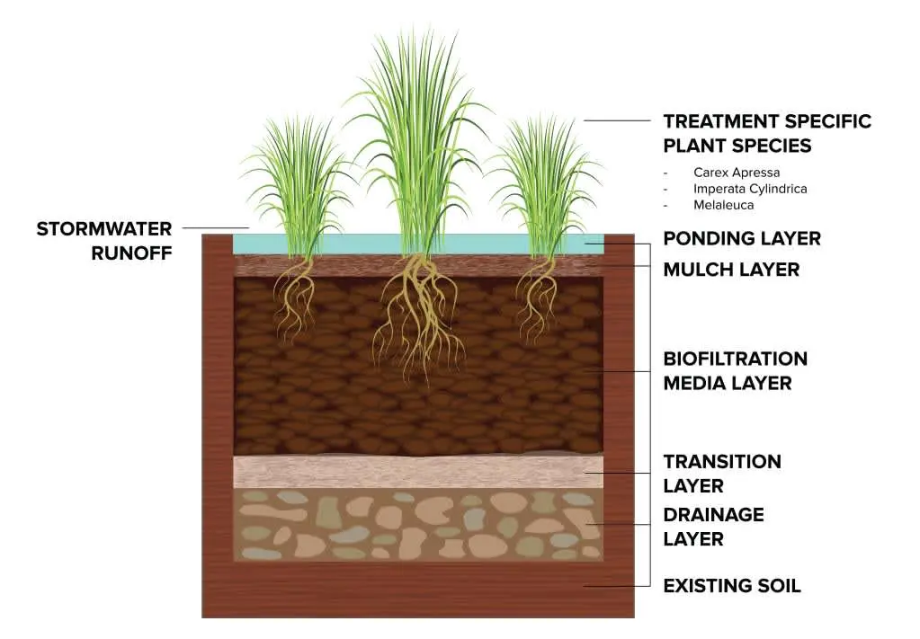 Biyotutma (bioretention) sisteminin katmanlı kesit diyagramı — soldan yüzeysel akış girişi, ponding layer, mulch layer, biofiltration media layer, transition layer, drainage layer ve existing soil katmanları, bitki kökleri ile