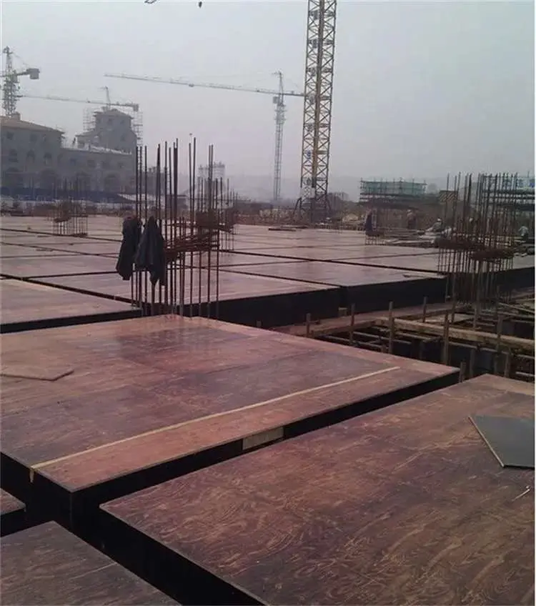 Geniş ölçekli şantiyede film kaplı plywood döşeme kalıbı: kahverengi plywood panolar yan yana yerleştirilmiş, aralarından kolon filiz donatıları çıkıyor