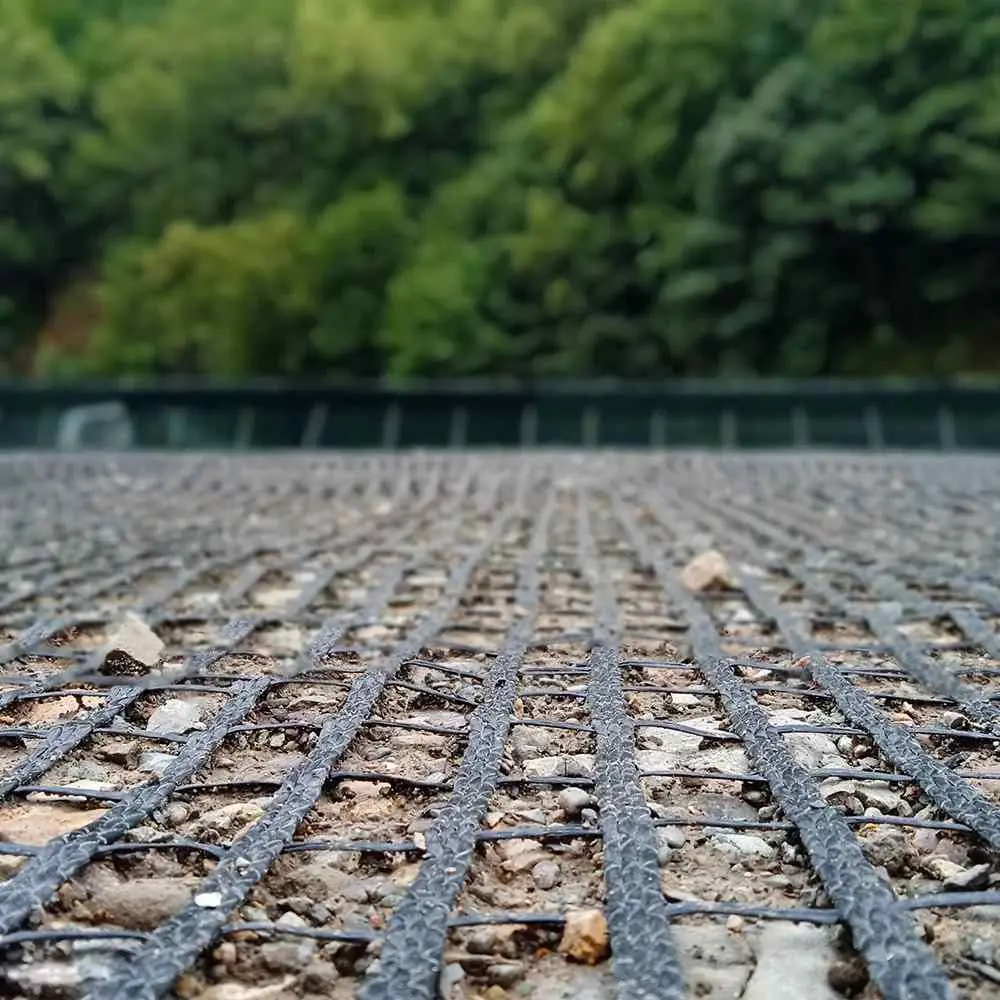 Geogrid dolgu zemin içinde yakın çekim